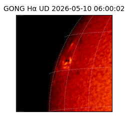 gong - 2026-05-10T06:00:02
