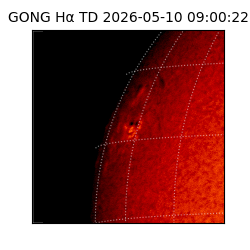gong - 2026-05-10T09:00:22