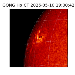 gong - 2026-05-10T19:00:42