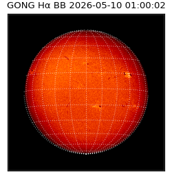 gong - 2026-05-10T01:00:02