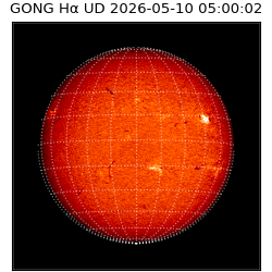 gong - 2026-05-10T05:00:02