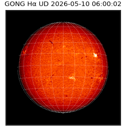 gong - 2026-05-10T06:00:02
