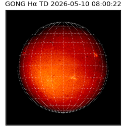 gong - 2026-05-10T08:00:22