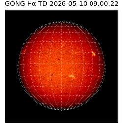 gong - 2026-05-10T09:00:22