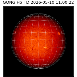 gong - 2026-05-10T11:00:22