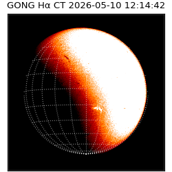 gong - 2026-05-10T12:14:42