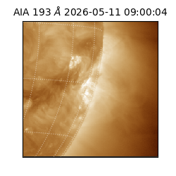 saia - 2026-05-11T09:00:04.842000