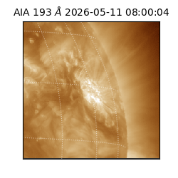 saia - 2026-05-11T08:00:04.842000