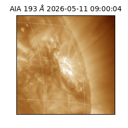 saia - 2026-05-11T09:00:04.842000