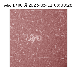 saia - 2026-05-11T08:00:28.716000