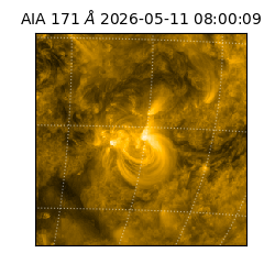 saia - 2026-05-11T08:00:09.352000
