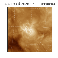 saia - 2026-05-11T09:00:04.842000