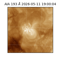 saia - 2026-05-11T19:00:04.845000