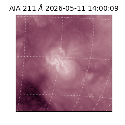 saia - 2026-05-11T14:00:09.624000