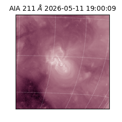 saia - 2026-05-11T19:00:09.622000