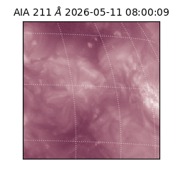 saia - 2026-05-11T08:00:09.631000