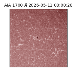 saia - 2026-05-11T08:00:28.716000