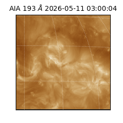saia - 2026-05-11T03:00:04.842000