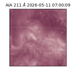saia - 2026-05-11T07:00:09.630000