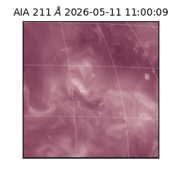 saia - 2026-05-11T11:00:09.630000