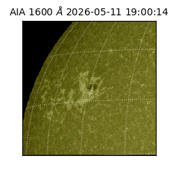 saia - 2026-05-11T19:00:14.123000
