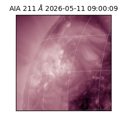 saia - 2026-05-11T09:00:09.630000