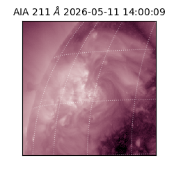 saia - 2026-05-11T14:00:09.624000