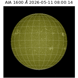 saia - 2026-05-11T08:00:14.123000