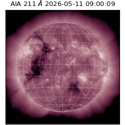 saia - 2026-05-11T09:00:09.630000