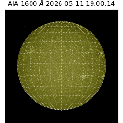 saia - 2026-05-11T19:00:14.123000