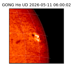 gong - 2026-05-11T06:00:02