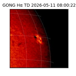 gong - 2026-05-11T08:00:22