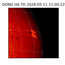 gong - 2026-05-11T11:00:22