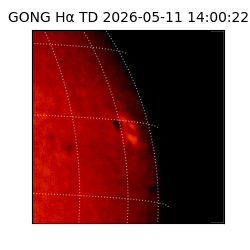 gong - 2026-05-11T14:00:22