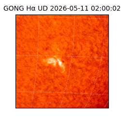 gong - 2026-05-11T02:00:02