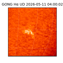 gong - 2026-05-11T04:00:02