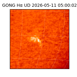 gong - 2026-05-11T05:00:02