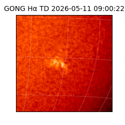 gong - 2026-05-11T09:00:22