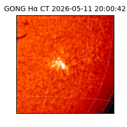 gong - 2026-05-11T20:00:42
