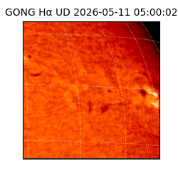 gong - 2026-05-11T05:00:02