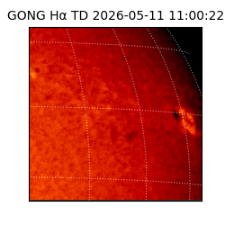 gong - 2026-05-11T11:00:22