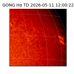 gong - 2026-05-11T12:00:22