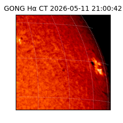 gong - 2026-05-11T21:00:42