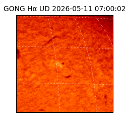 gong - 2026-05-11T07:00:02