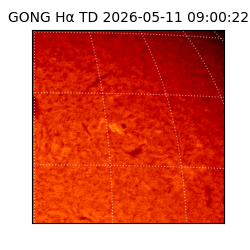 gong - 2026-05-11T09:00:22