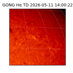 gong - 2026-05-11T14:00:22