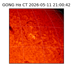 gong - 2026-05-11T21:00:42