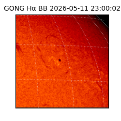 gong - 2026-05-11T23:00:02