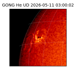 gong - 2026-05-11T03:00:02