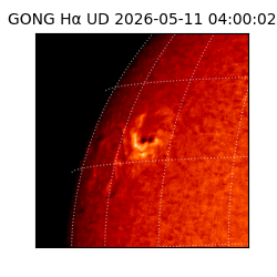 gong - 2026-05-11T04:00:02